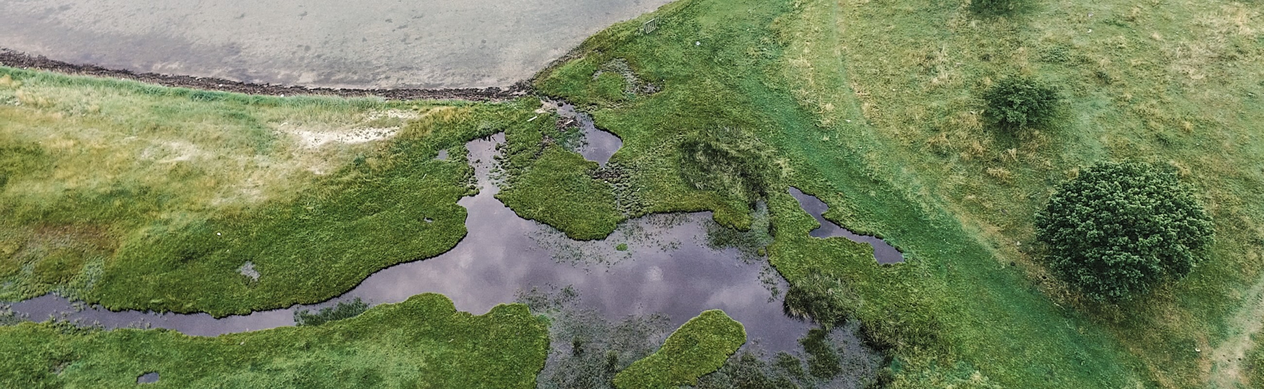 Luftfoto Skansen eller Monnet B20Q0501.00_01_08_06.Still008_Moving_Nature_Andreas_Mørck.jpg